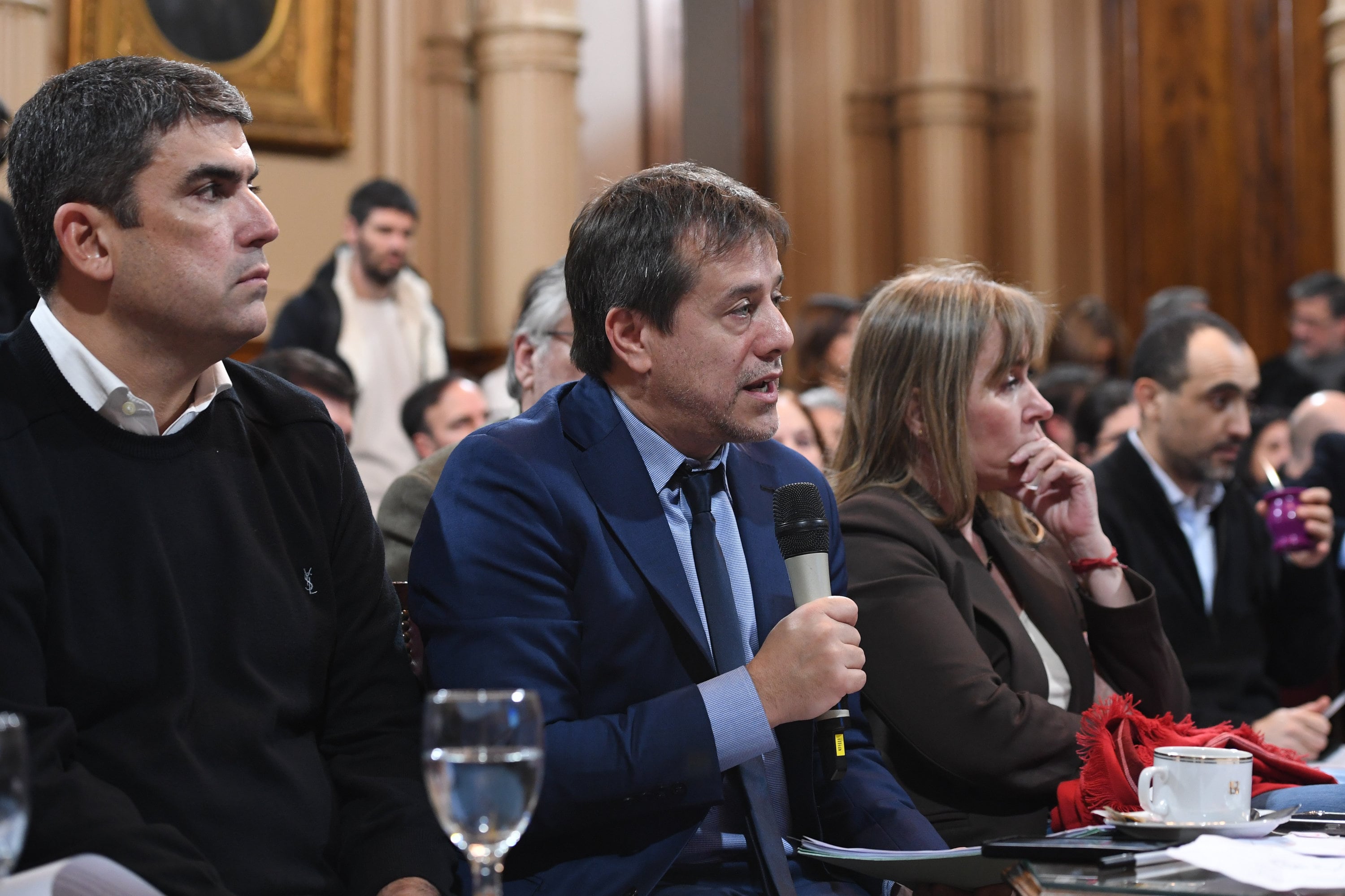 Mariano Recalde fundamentó la posición de Unión por la Patria (Foto: Comunicación Senado)