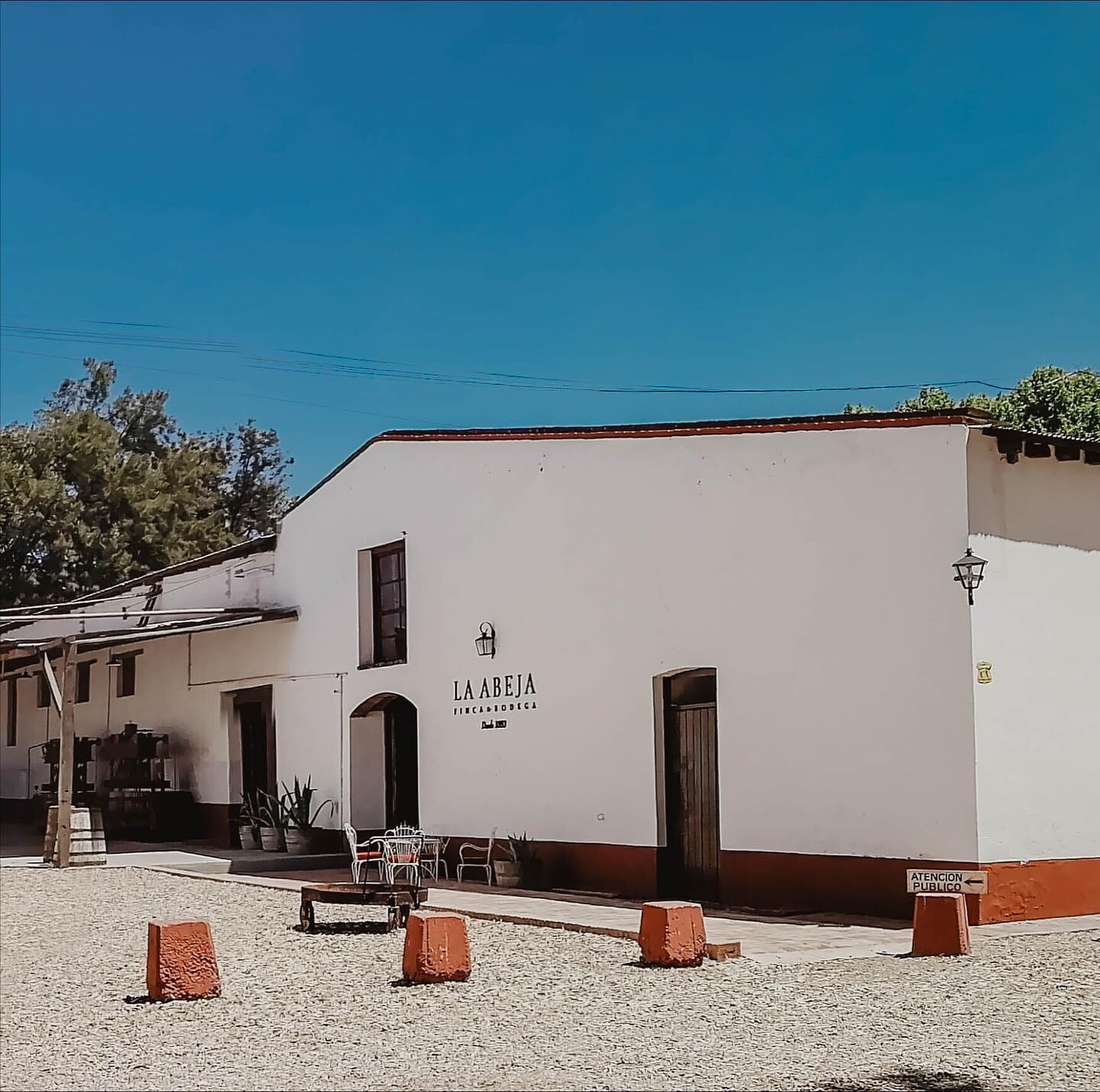 Finca y Bodega La Abeja.