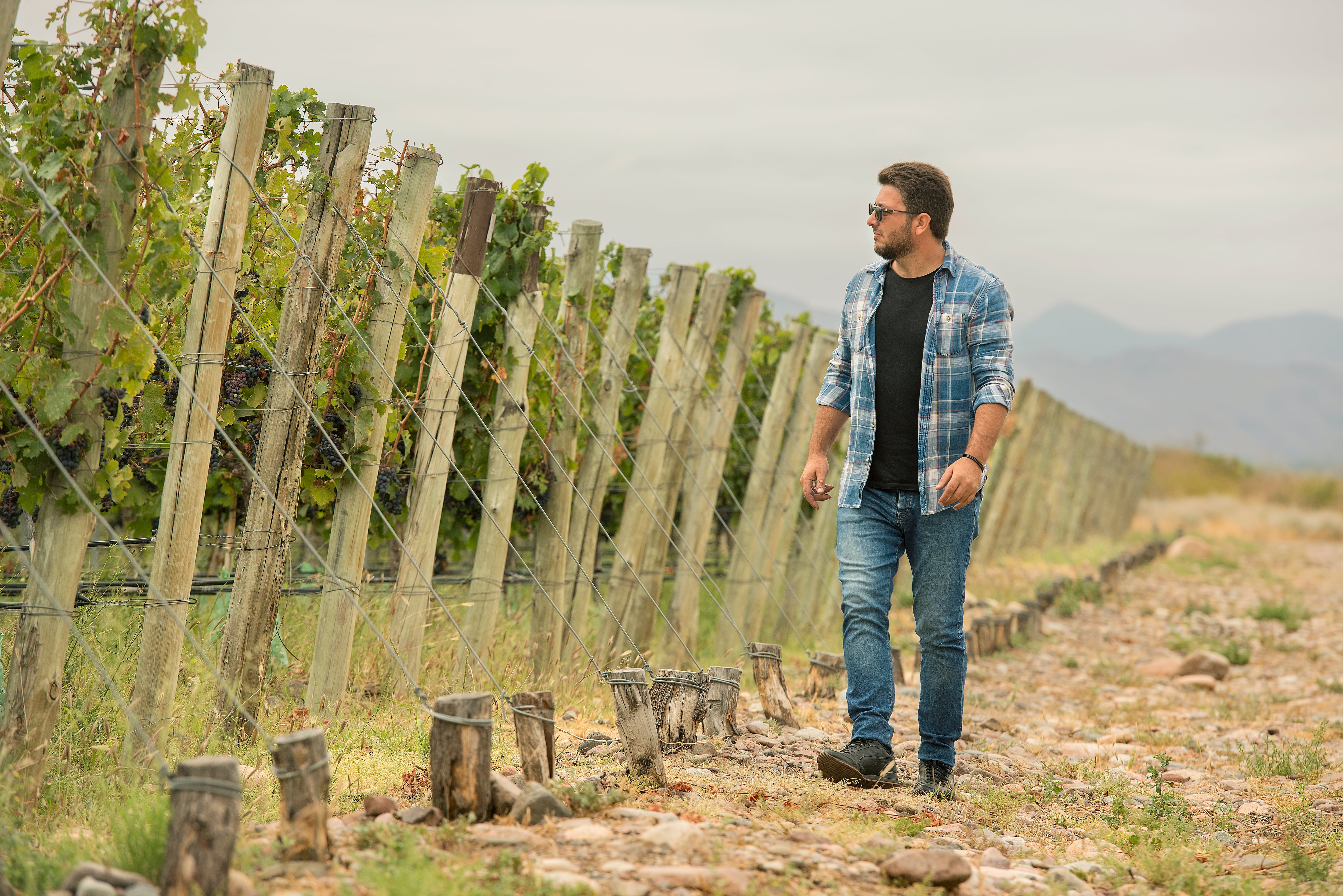 En el día mundial del malbec, hablamos con el enólogo mendocino Juan Ubaldini.