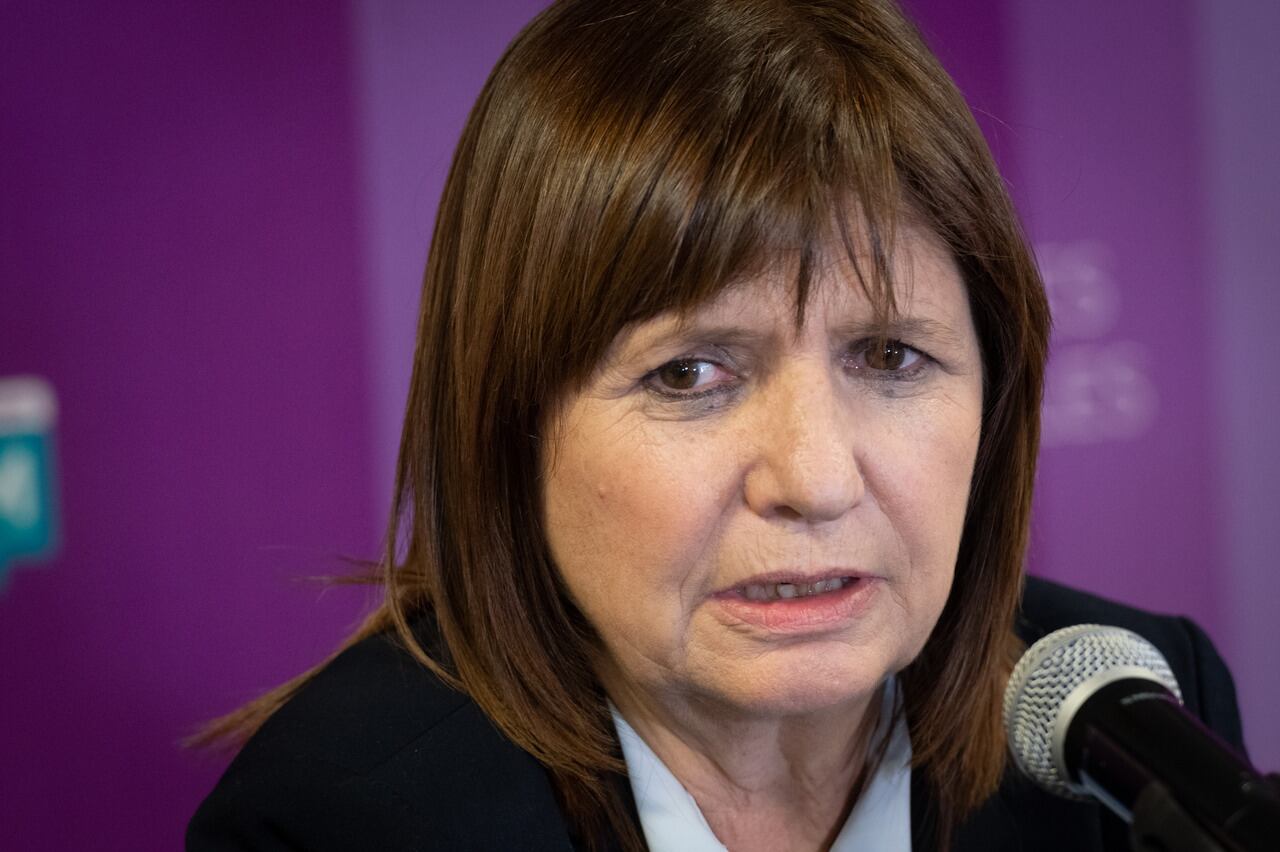 Patricia Bullrich anunciará oficialmente a Luis Petri este mismo jueves.