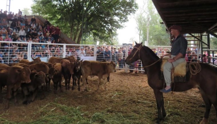 Preparan nueva feria y remate ganadero en sede de la Asociación Ganadera Andresito.