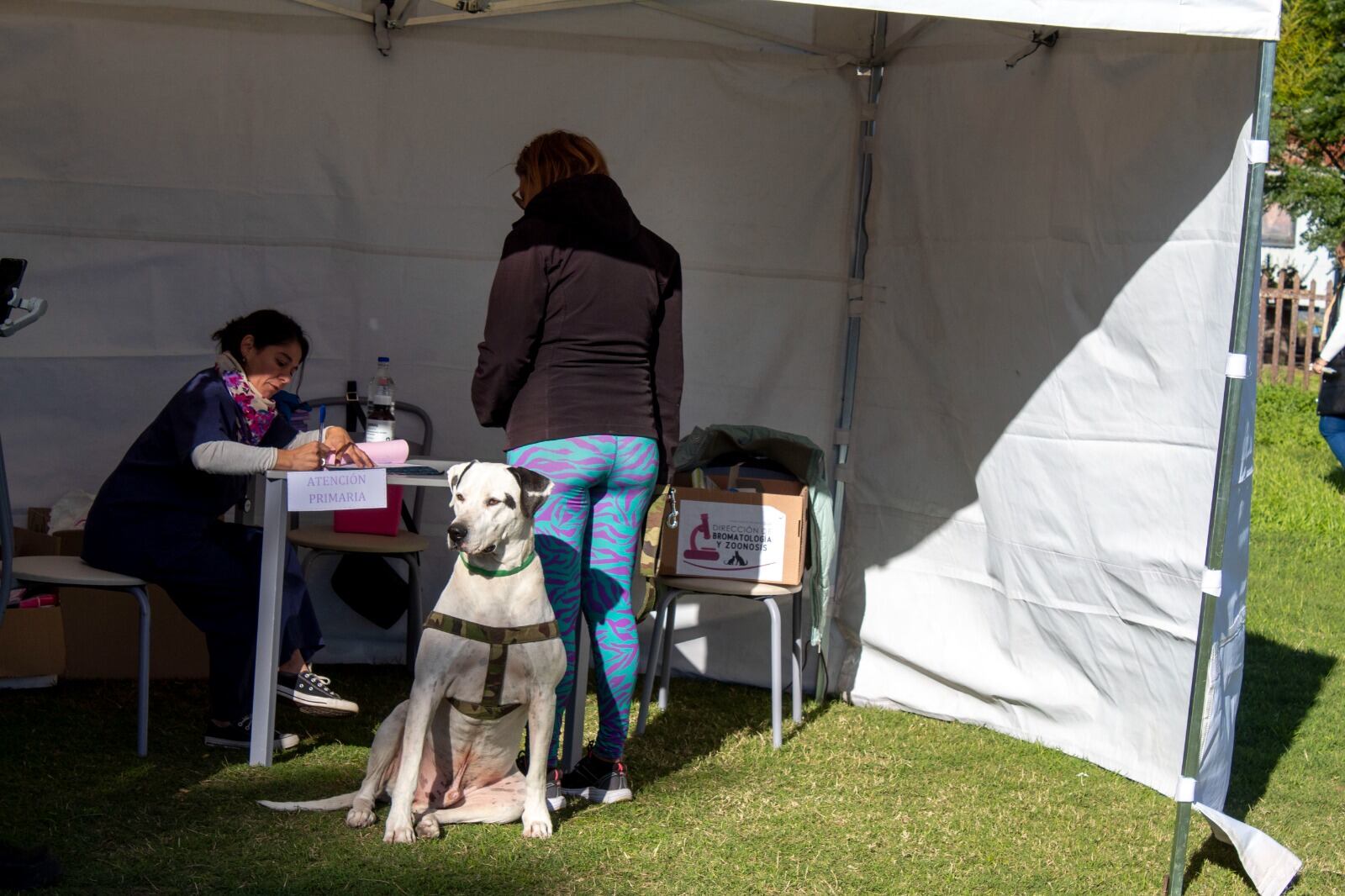 Primera jornada de actividades por el Día del Animal