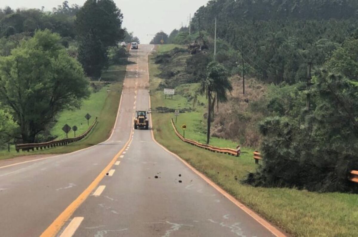 La Ruta Nacional N°12 se halla en despeje de banquinas