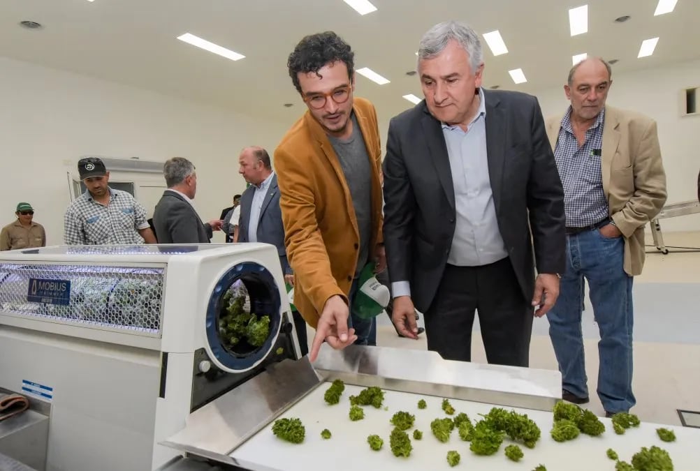 "Recibimos muchas consultas, pedidos de prueba y órdenes de compra de laboratorios nacionales y extranjeros", dijo Gastón Morales durante la recorrida por el Complejo de Biotecnología habilitado en Finca El Pongo.