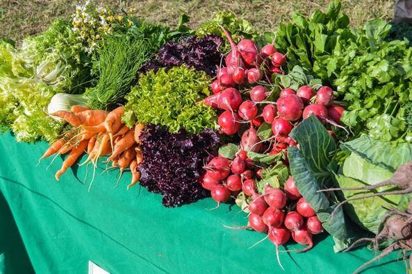 Soldini firmó un convenio para fortalecer el trabajo agroecológico (Facebook Comuna de Soldini)