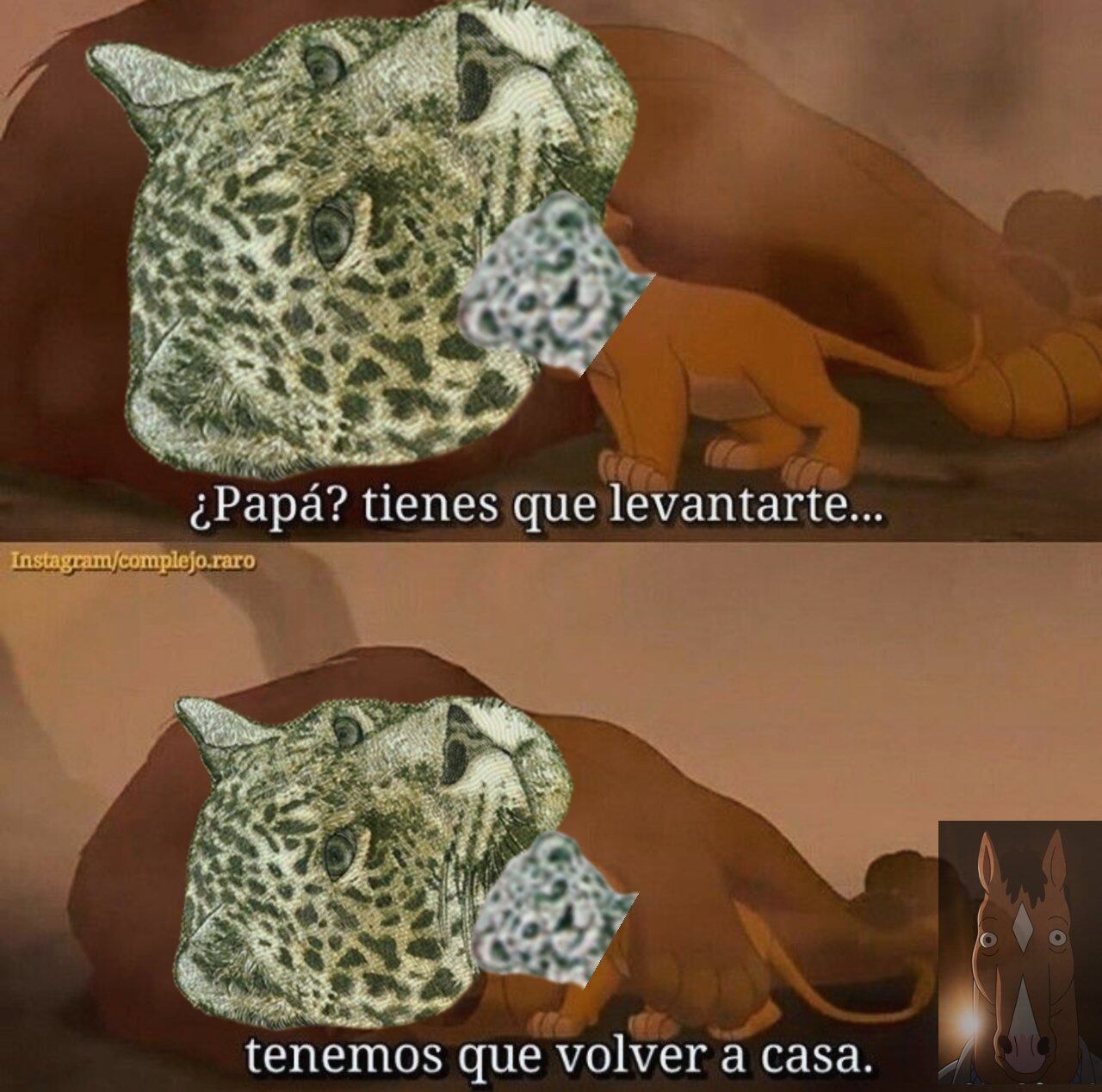 Los memes de la suba del dólar