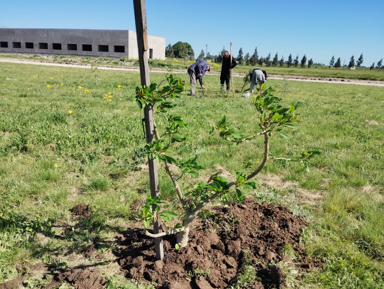 Escuela Agropecuaria y Jardín 912 visitaron la Planta de Residuos