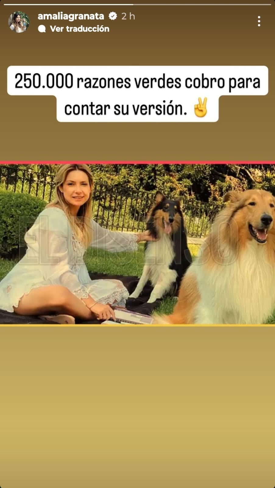 La diputada provincial se expresó en una historia de Instagram.