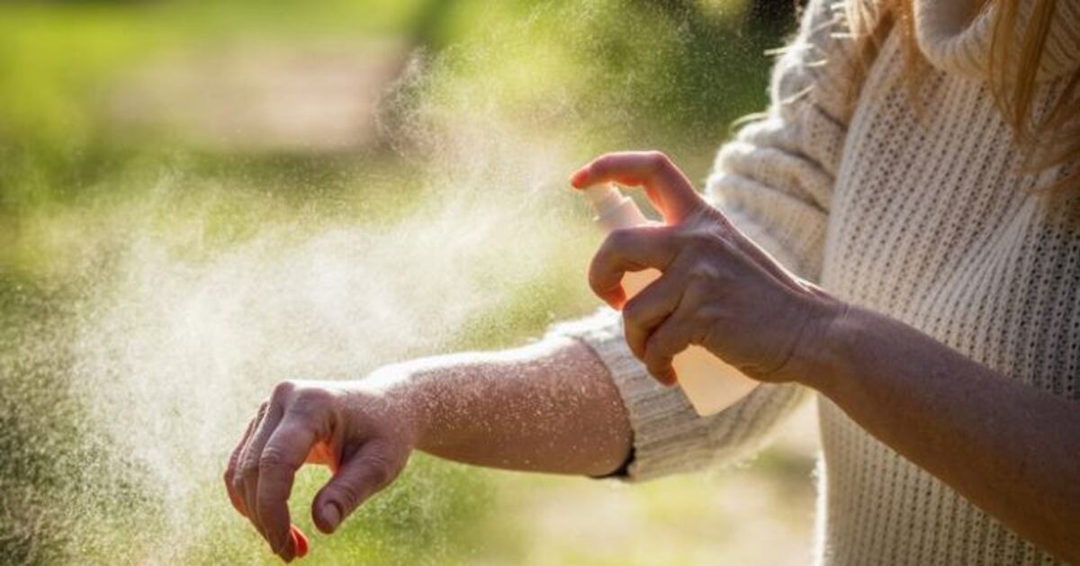 “No te pican más”: una cordobesa reveló la “receta” para evitar picaduras de mosquitos y fue furor en redes