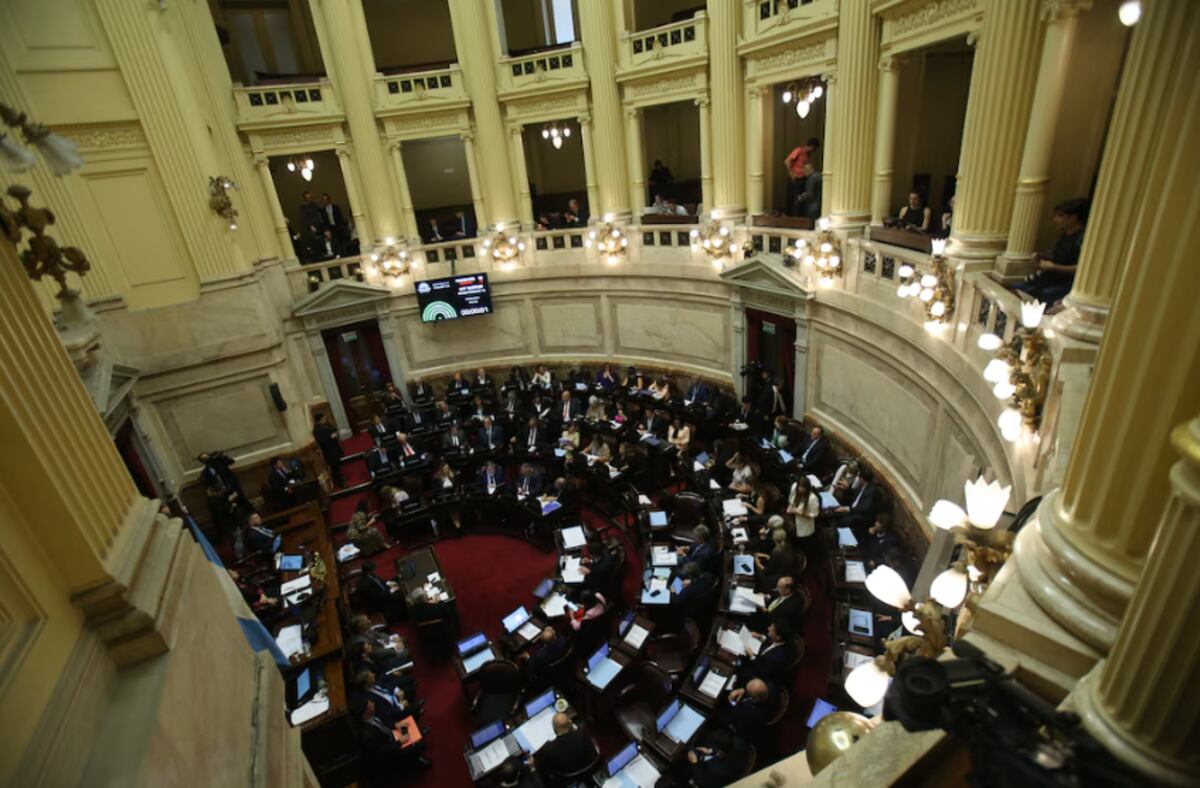 Juran los nuevos senadores y patean la definición sobre una libertaria con presuntos vínculos narco