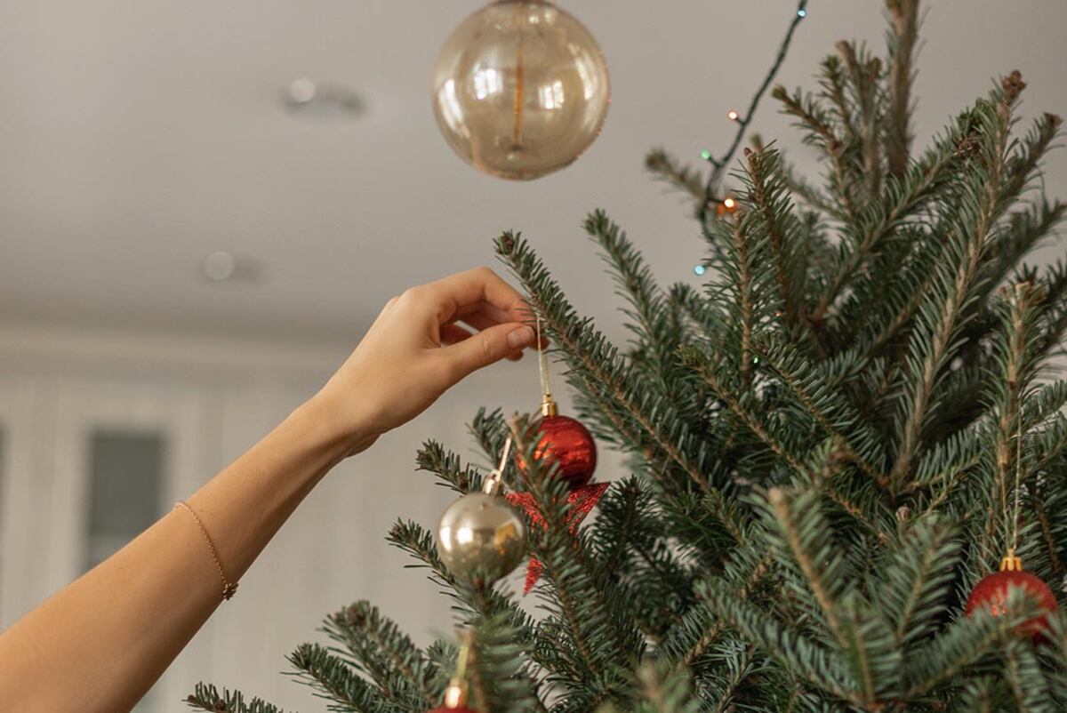 Pérez encenderá el arbolito de Navidad
