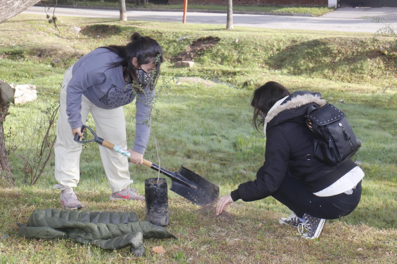 Trabajo entre jóvenes del Rotary y el Municipio local en un pintoresco parque de la ciudad.