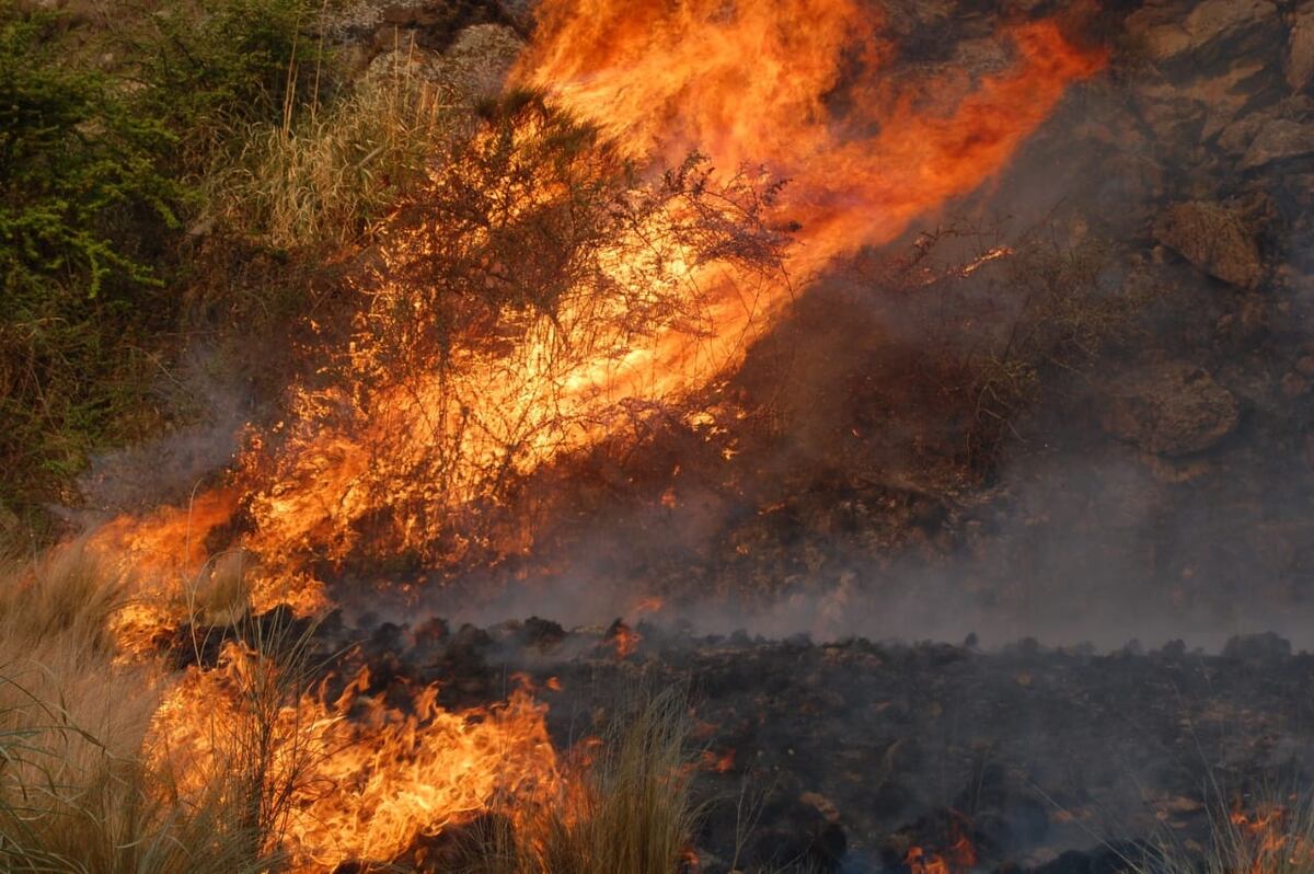 Combaten un voraz incendio en Capilla del Monte