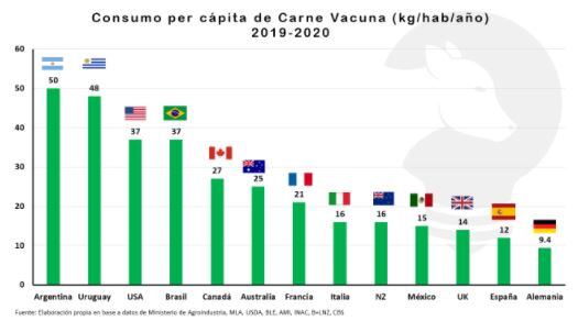 Consumo argentino de carne