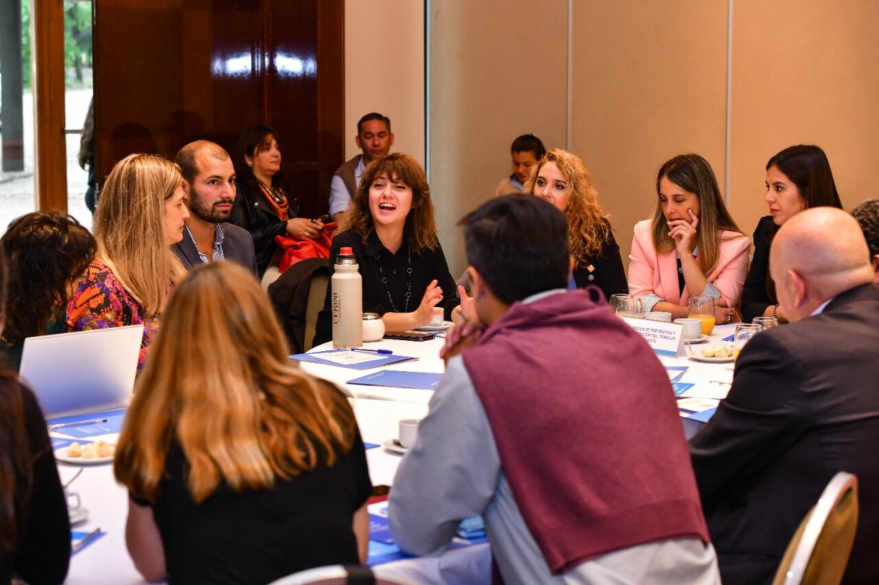 Tierra del Fuego participó de la 120º Reunión Plenaria del Consejo Federal del Trabajo