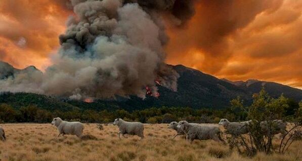 Hay por lo menos 3 localidades en Chubut con focos de incendios activos. 