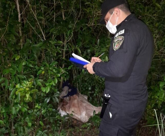 Dos individuos fueron detenidos por abigeato en San Vicente.