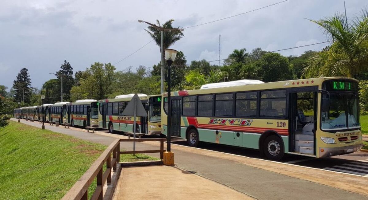 Nuevo paro de colectivos en Eldorado