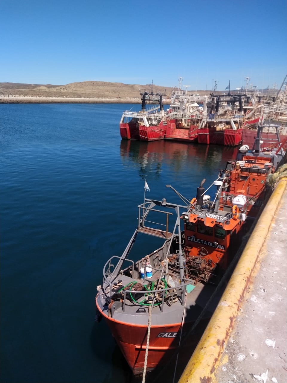 Buen comienzo de año para los puerto de la provincia