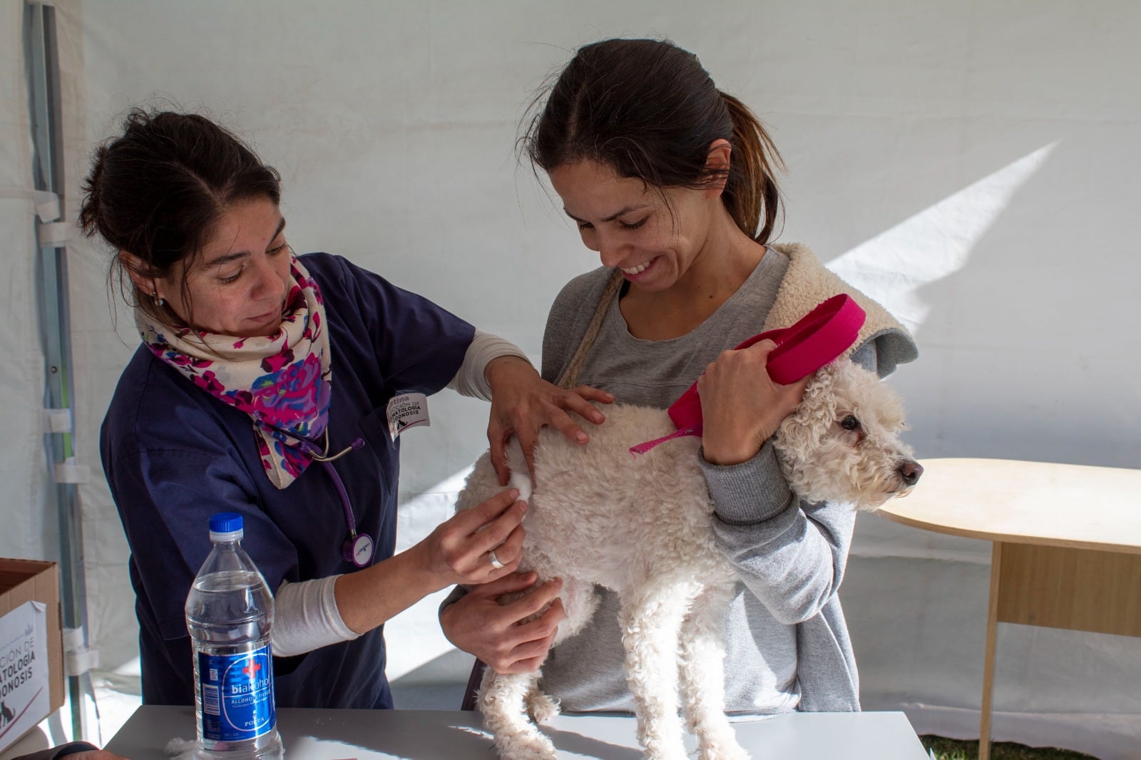 Primera jornada de actividades por el Día del Animal