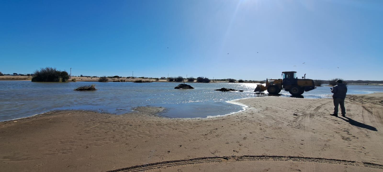 encuentran montículos de arena sosteniendo pilotes en una zona protegida de la albufera