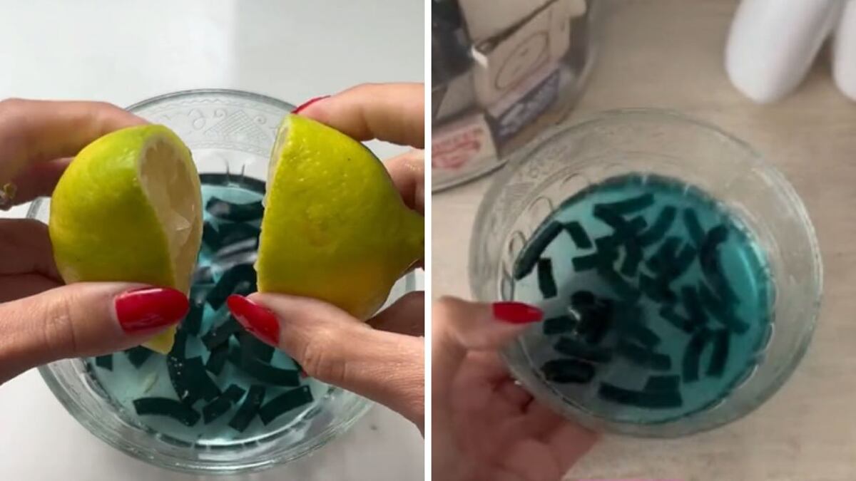 El truco viral: cómo repeler mosquitos, moscas y cucarachas de forma casera