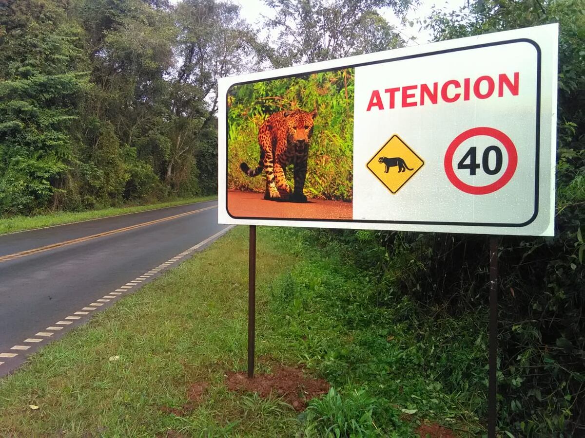El Parque Nacional Iguazú tendrá más radares de tránsito