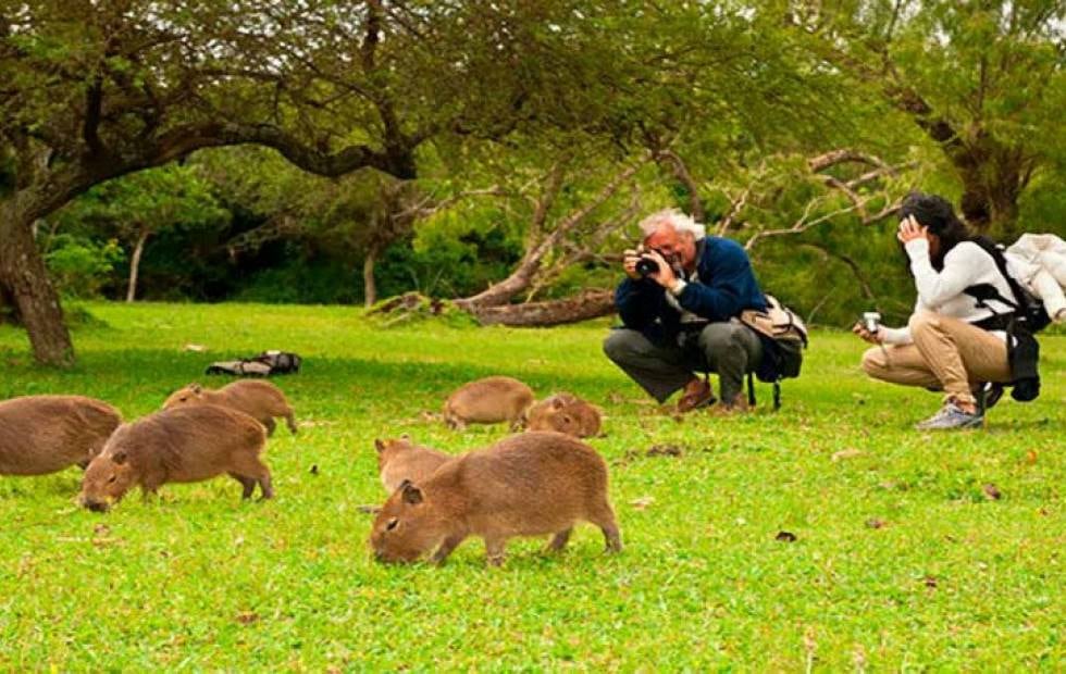 El contacto directo con la fauna y flora es un de los principales atractivos de los Esteros.