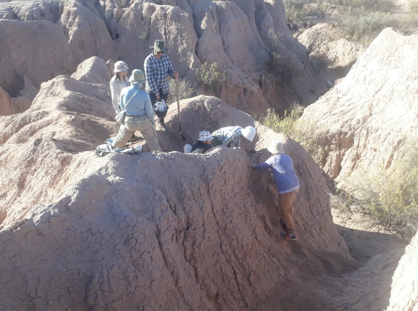 Antropólogos del Museo Cornelio Moyano, la UNCuyo y Conicet, encontraron restos humanos en tierras huarpes, Maipú.