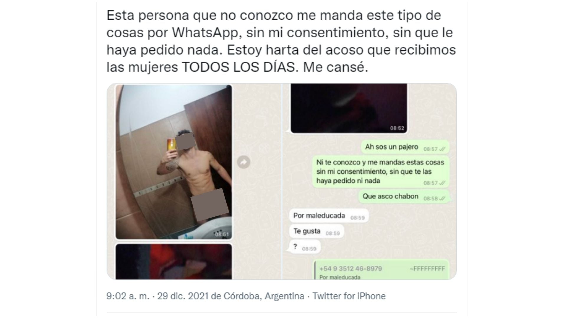 La joven expuso los mensajes y las imágenes que le mandaba un joven sin su consentimiento.