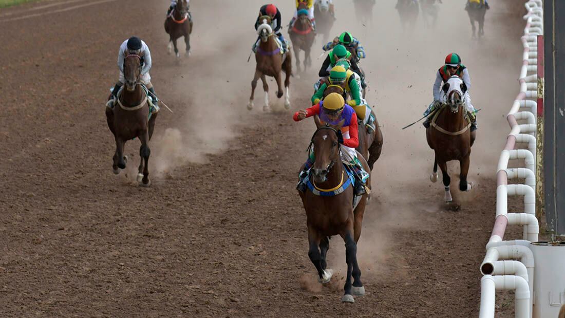 Turf Clásico Vendimia 2023
Kennedy Back, el caballo que corre bajo la monta  de  Florindo Catalano, se impuso con absoluta autoridad sobre Bellaco Song a quien superó por 3 cuerpos y a Malaikan que llegó en el tercer lugar, para los 2200 metros.
Ana Laura Verde, de La Paz,  Reina Nacional de la Vendimia y Gemina Navarro de Tupungato Virreina Nacional

Foto : Orlando Pelichotti