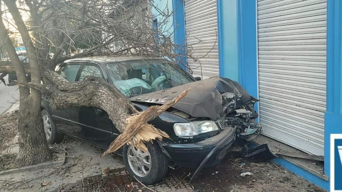 Manejaba borracho, chocó y sufrió heridas leves.