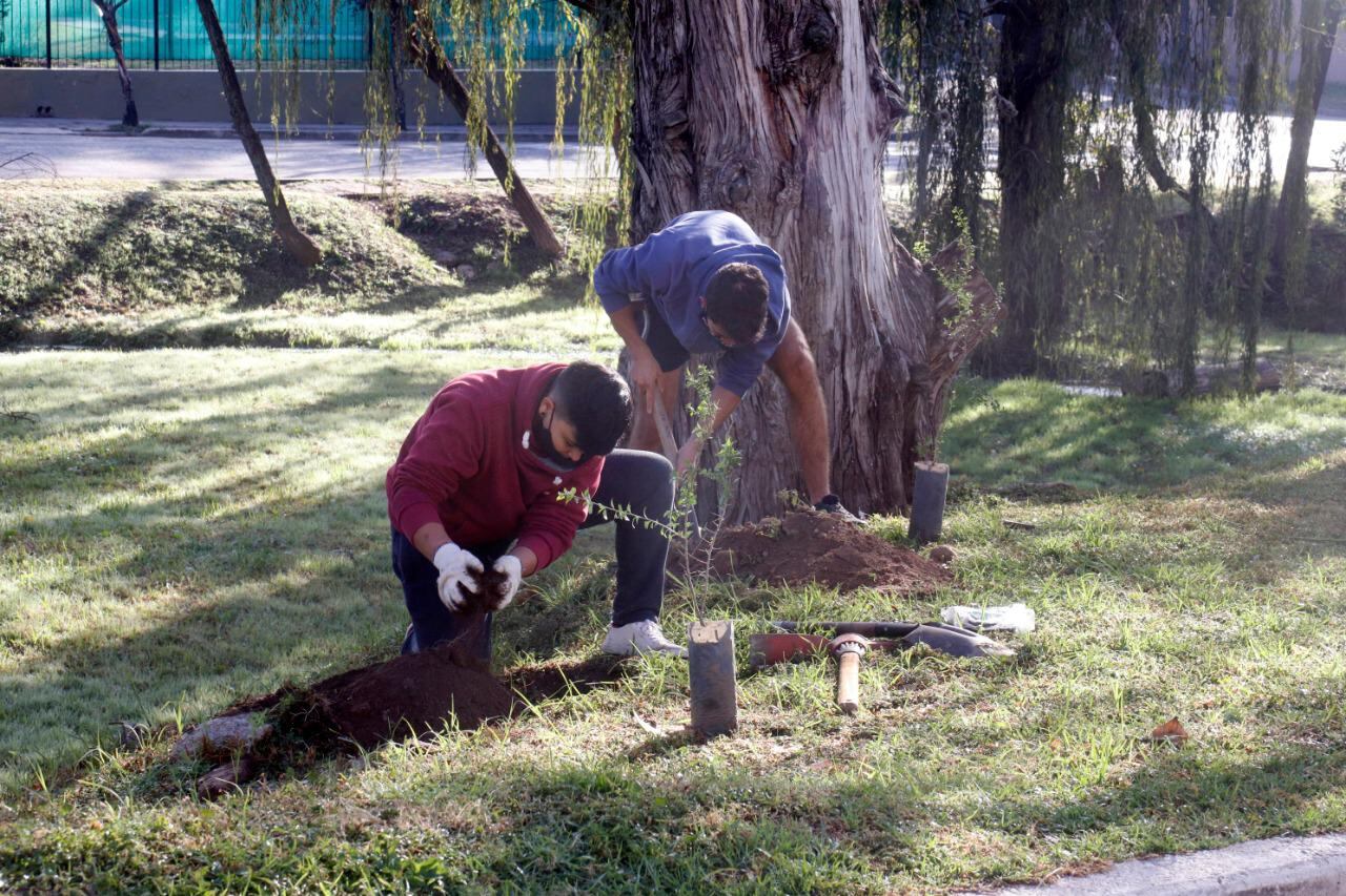 Se plantaron 40 nuevas especies nativas en el Parque Italia de Carlos Paz.