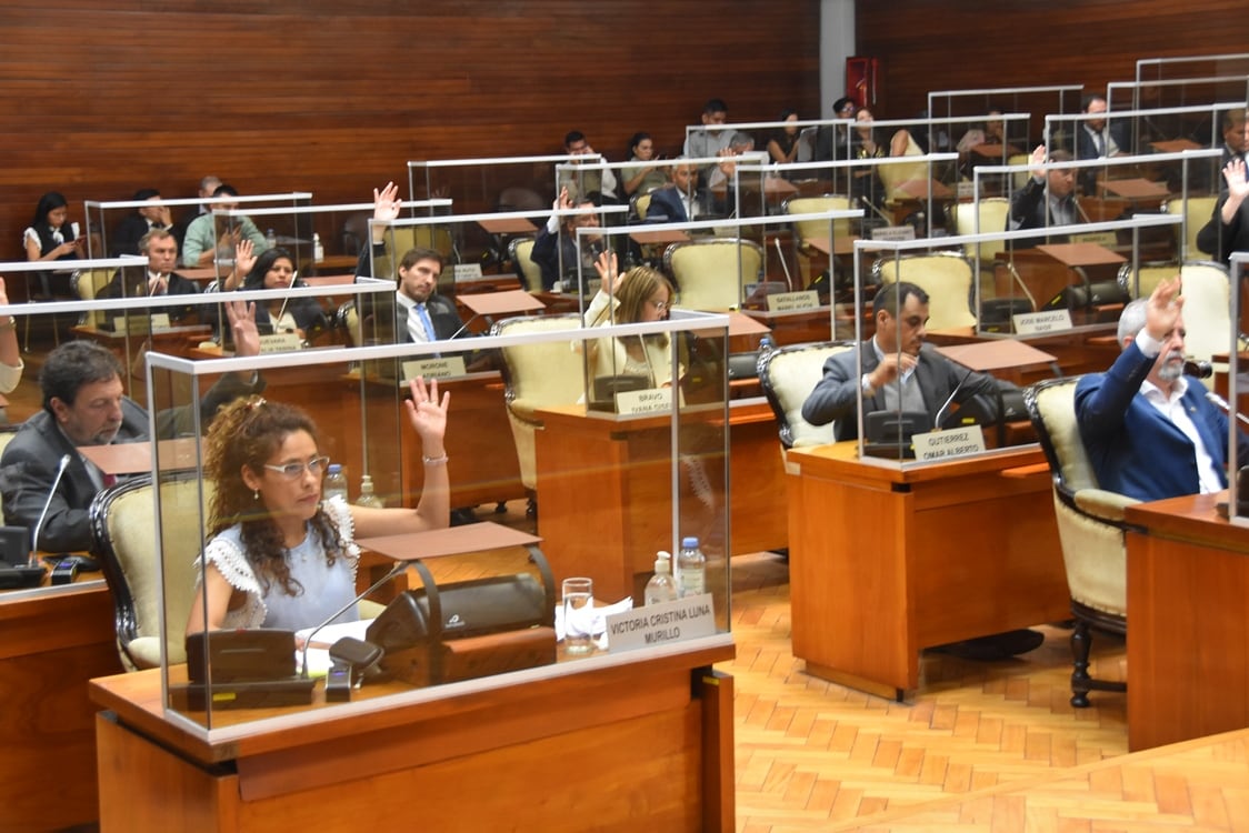 Este miércoles sesionó la Legislatura de Jujuy y entre otros asuntos tratados se sancionó la declaración del cóndor andino como Monumento Natural Provincial.