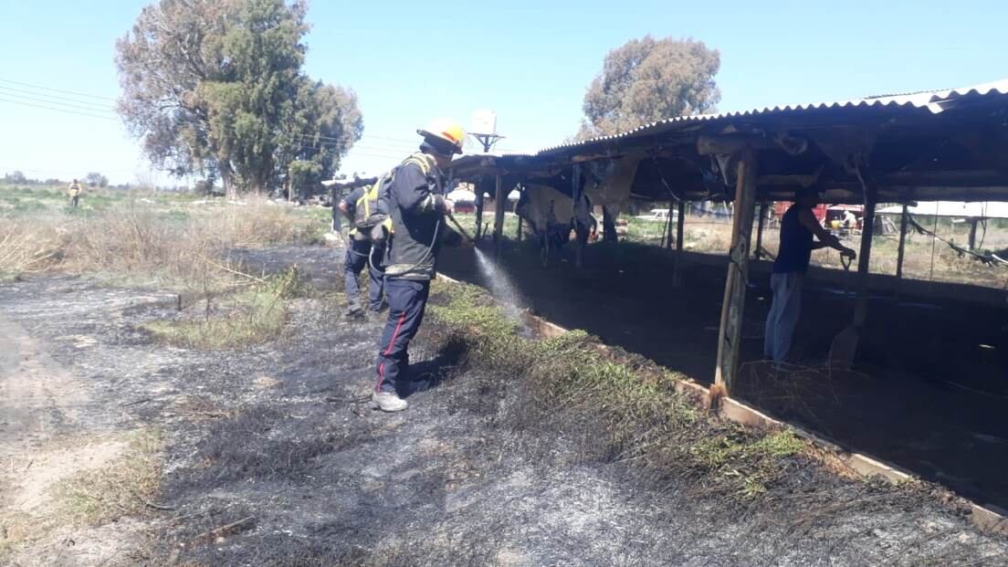 El incedio provocó pérdidas cuantiosas en la Avícola Monte en Monte Comán. 