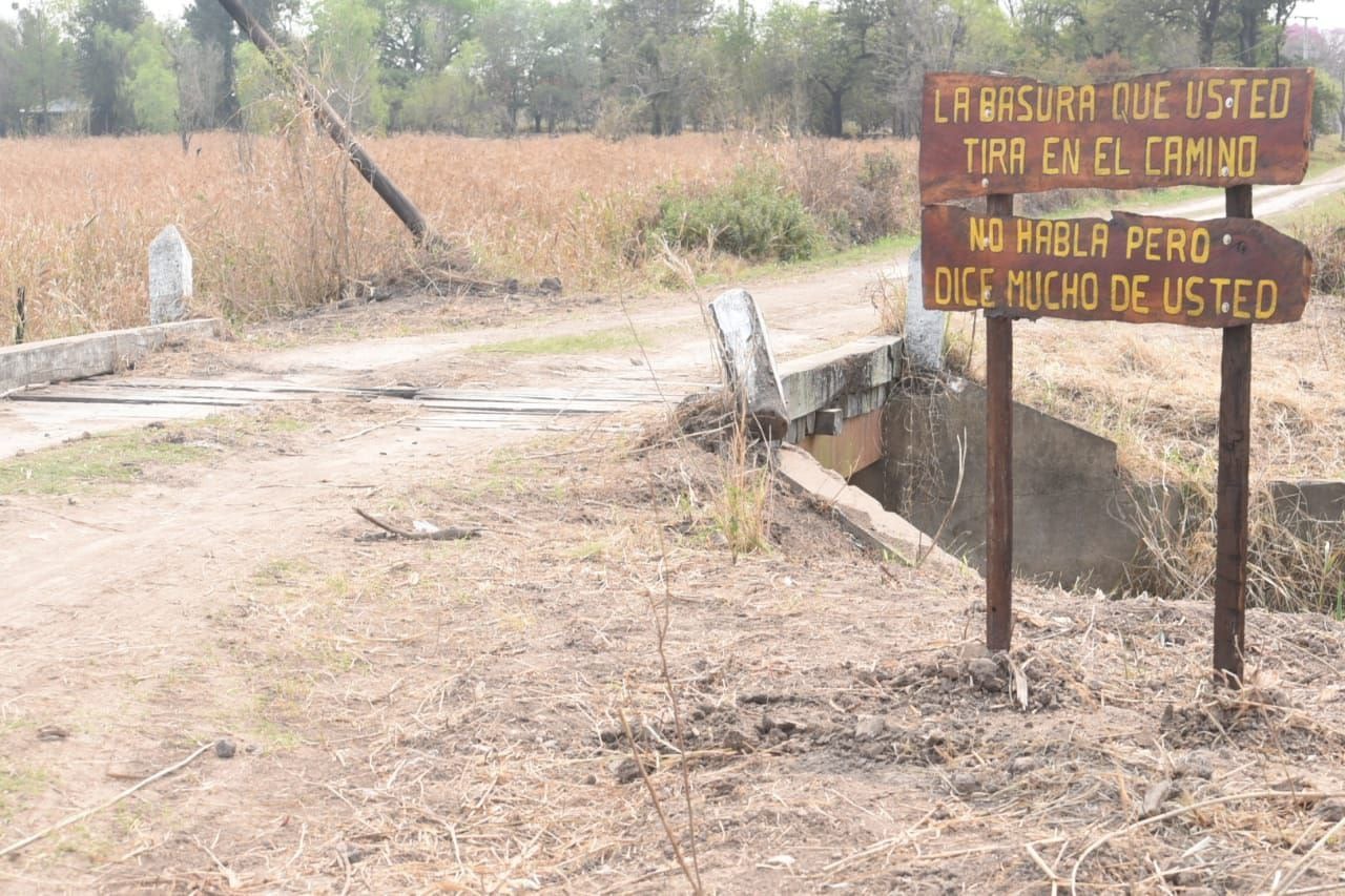 "Creemos que sin educación ambiental no es posible lograr el desarrollo sostenible”, explicó la secretaria de Desarrollo Territorial y Ambiente, Marta Soneira.