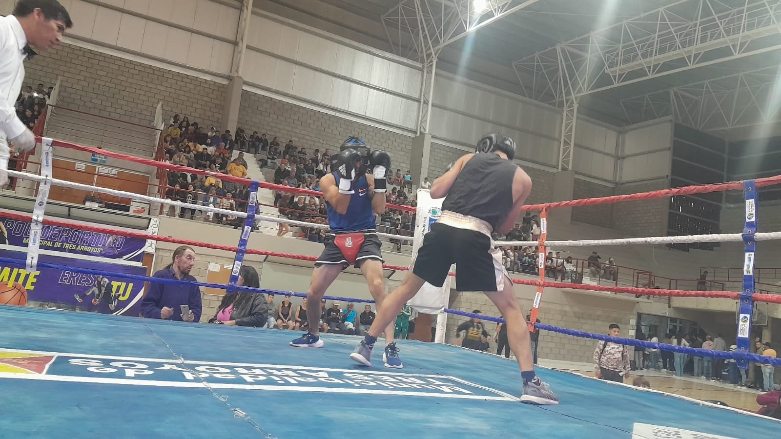 Festival de boxeo amateur en el Polideportivo Municipal