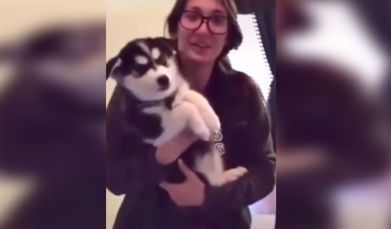 El pequeño Husky sorprendió con nuevos sonidos