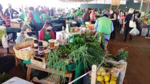 Feria franca en Villa Cabello.