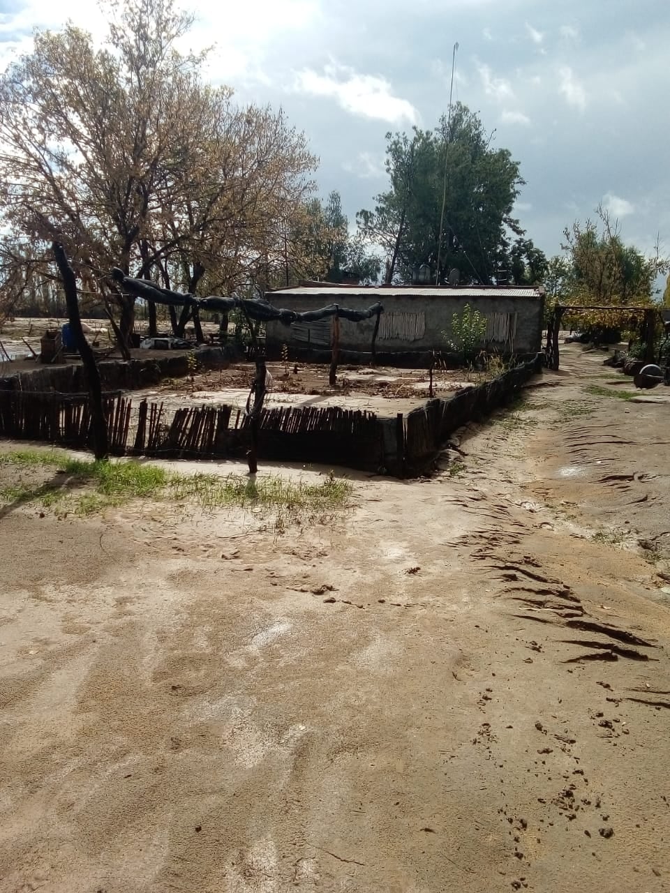 Una finca en Colonia Española quedó bajo el agua durante la lluvia y después repleta de barro.