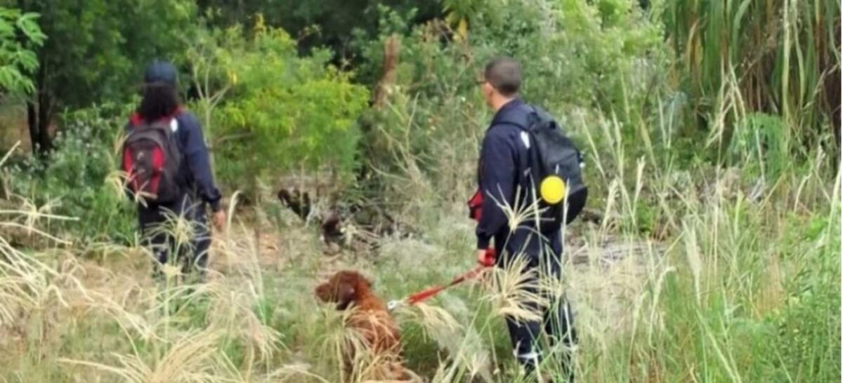 Los Helechos: se intensifica la búsqueda del carpintero desaparecido