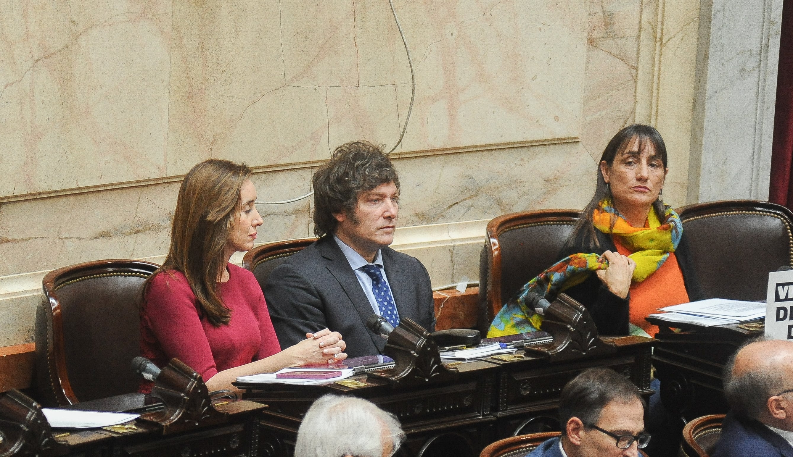 Javier Milei en la Cámara de Diputados. 
Foto Federico Lopez Claro