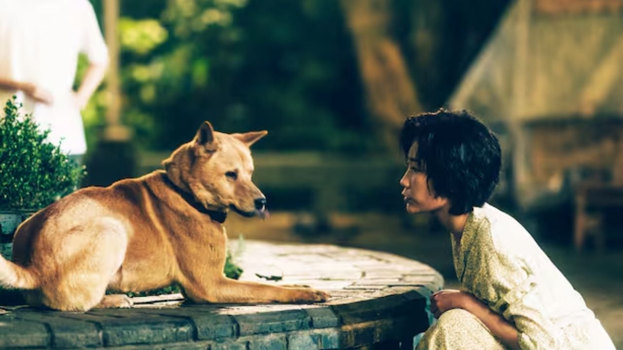 La nueva adaptación de la historia de Hachiko.