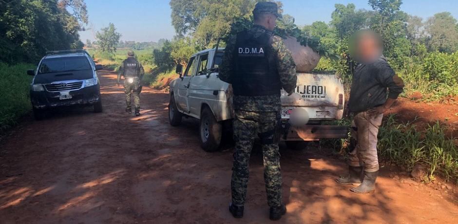 Secuestran cosecha ilegal de hoja verde en San Vicente.