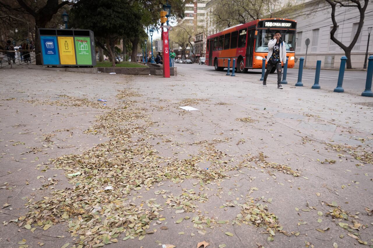 Ráfagas de viento norte para este jueves en la ciudad de Córdoba.