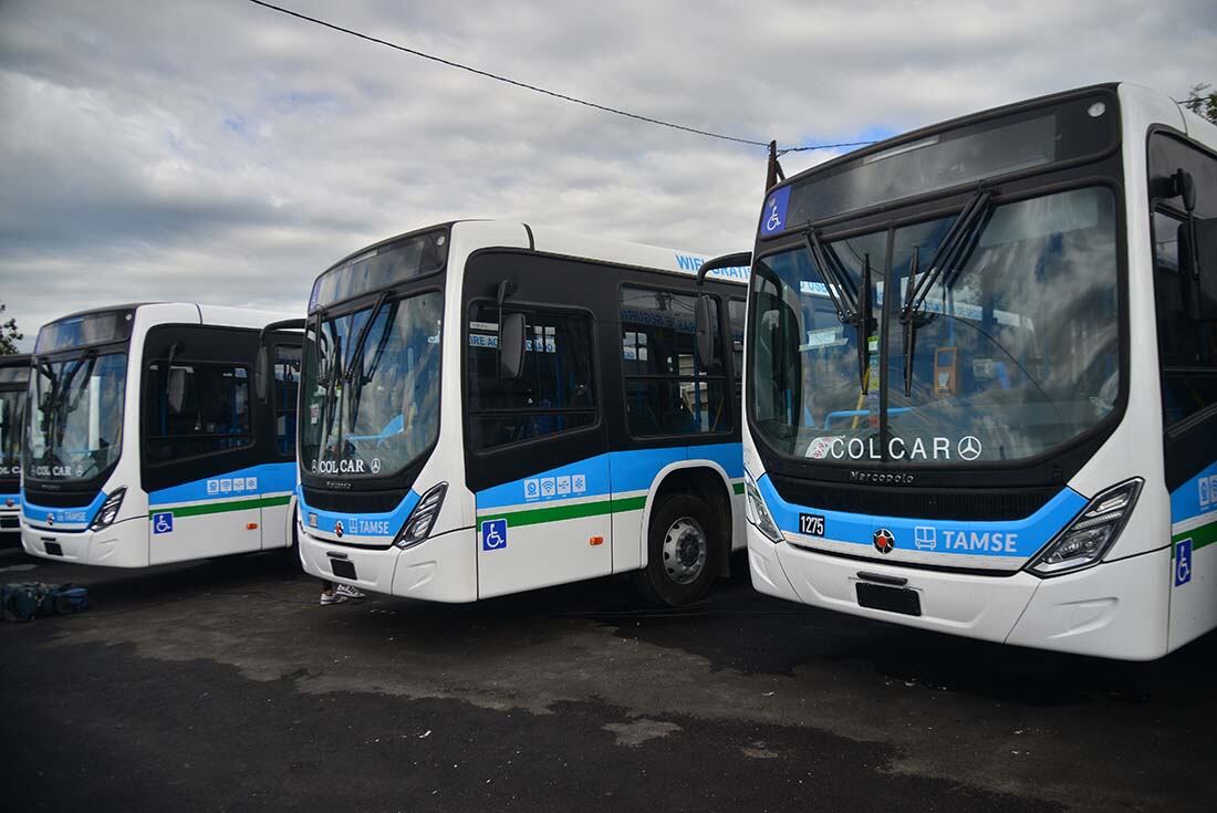 Presentación de las 50 nuevas unidades 0 Km adquiridas para la empresa municipal de transporte TAMSE en el Estadio kempes.
Fotografía Pedro Castillo / la Voz