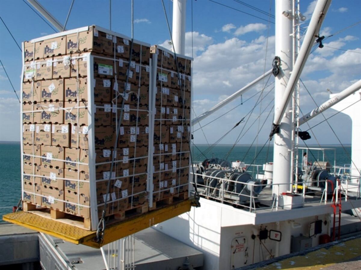 Malasia y Argentina emergen como nuevos mercados para el mango Indio