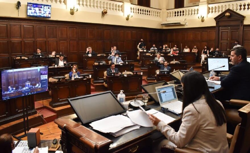 Sanción de ley en la Cámara de Diputados de Mendoza