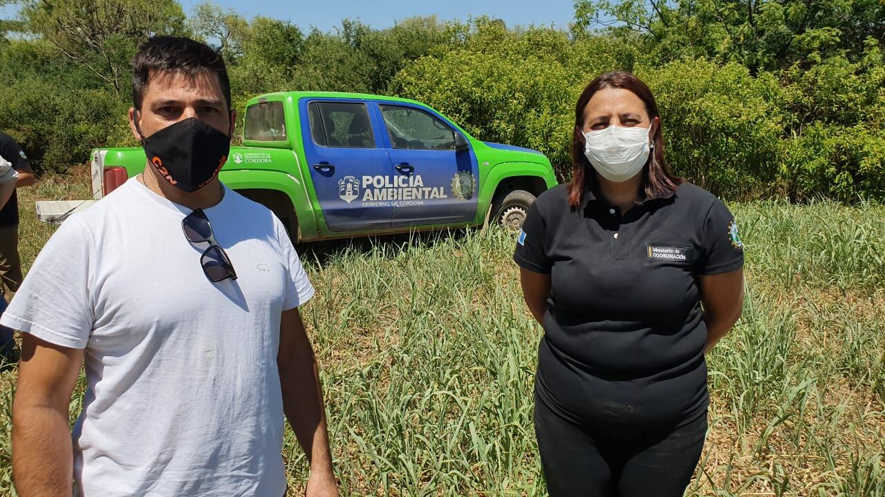 Las aves liberadas son especies autóctonas de la región.