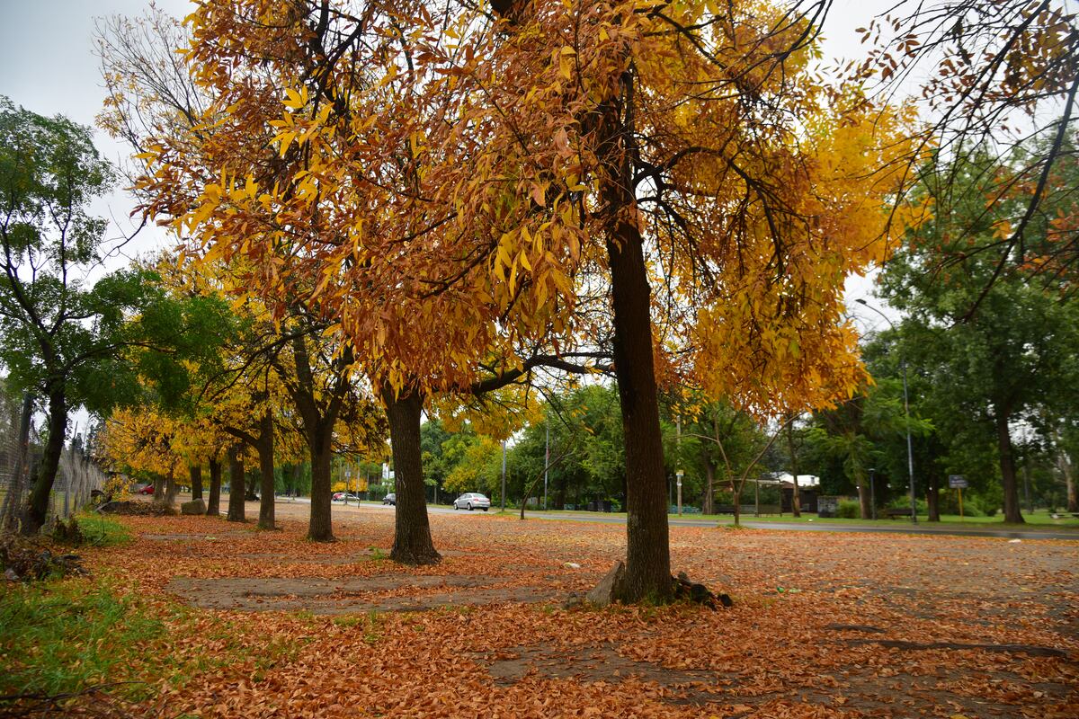 El clima en Córdoba: ¿Volverá a subir la temperatura este lunes 21 de abril?